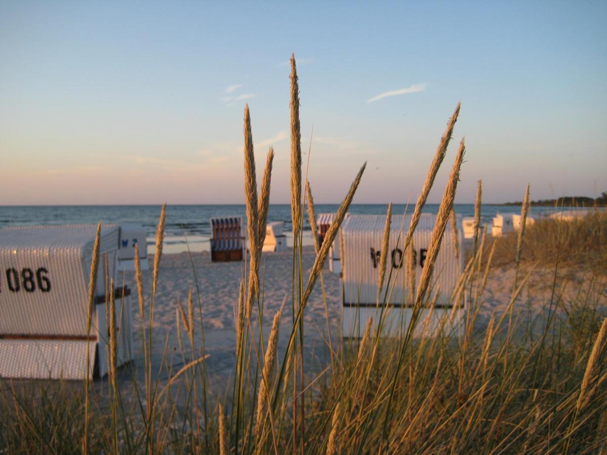 Strandhafer Boltenhagen  Bagian luar foto